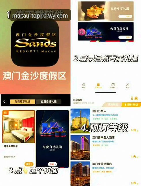 WY下载安装 澳门十大娱乐平台最新动态:WY下载安装全攻略与实用经验分享